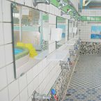 Plants: image 3 0f 4 thumb