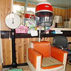 Plants: image 4 0f 4 thumb